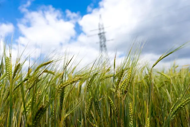 tomaszpro-church-2802689_640