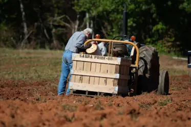 pexels-nc-farm-bureau-mark-2466830